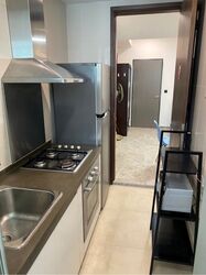 Sanctuary @ 813 (D19), Apartment #606425881